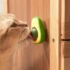 Jucărie Pisică – Sferă Catnip în Suport Avocado SYGGY