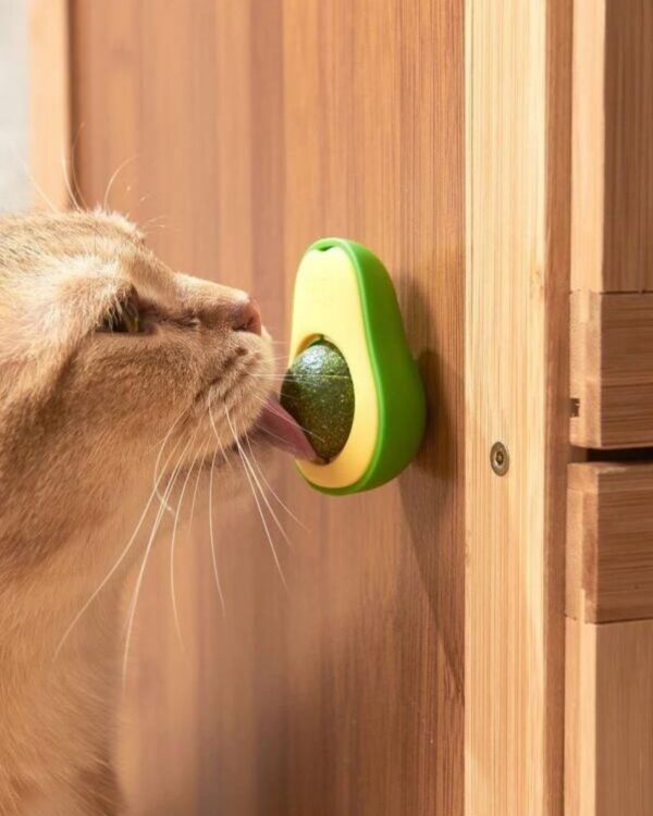 Jucărie Pisică – Sferă Catnip în Suport Avocado SYGGY