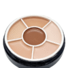 Corector Anticearcan ROMANTIC BEAUTY – 6 Nuante Concealer